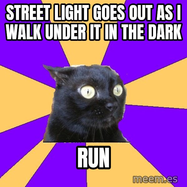 Anxiety Cat meme: street light goes out as i walk under it in the dark / run