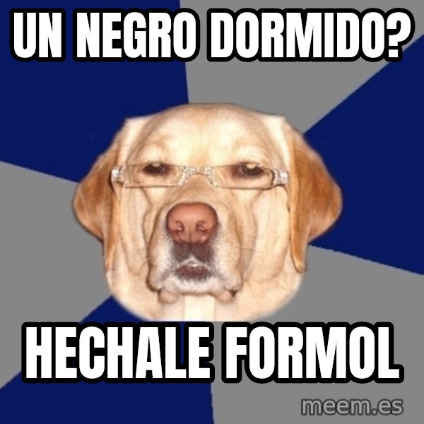 Racist Dog meme: un negro dormido? / hechale formol