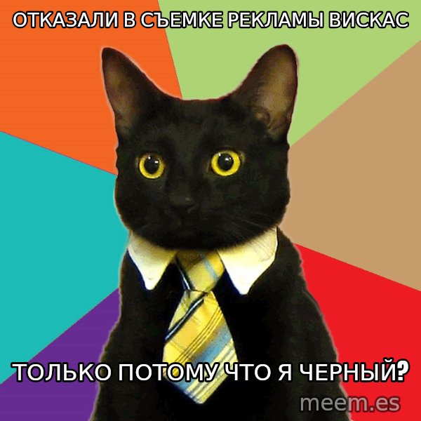 Business Cat meme: отказали в съемке рекламы вискас / только потому что я черный?