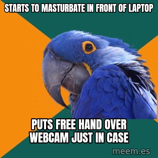 Paranoid Parrot meme: starts to masturbate in front of laptop / puts free hand over webcam just in case