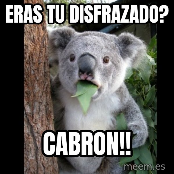 Koala can't believe it meme: eras tu DISFRAZADO? / cabron!!