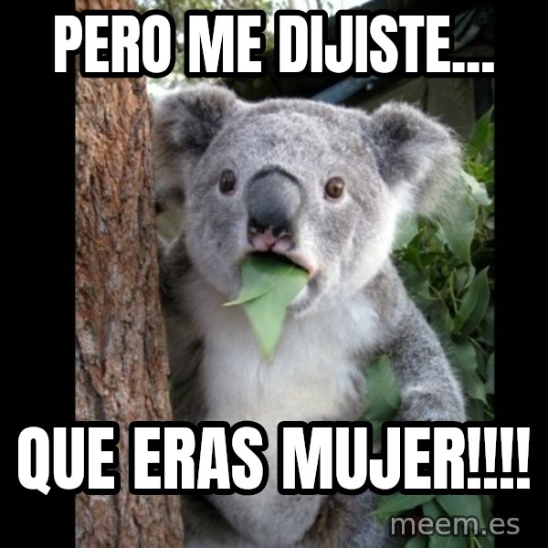 Koala can't believe it meme: Pero me dijiste... / Que eras mujer!!!!