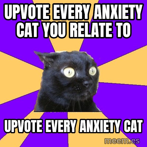 Anxiety Cat meme: upvote every anxiety cat you relate to / upvote every anxiety cat