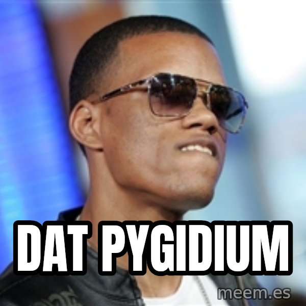 Dat Ass meme: DAT PYGIDIUM