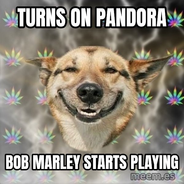 Stoner Dog meme: turns on pandora / bob marley starts playing