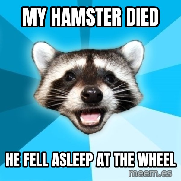 Lame Pun Coon meme: my hamster died / He fell asleep at the wheel