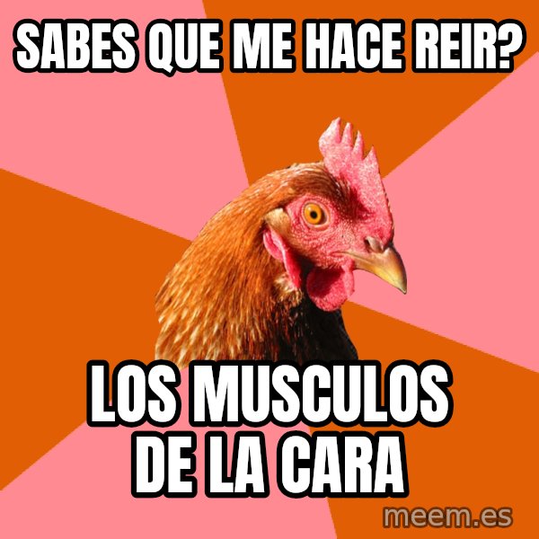 Anti Joke Chicken meme: Sabes que me hace reir? / Los musculos de la cara