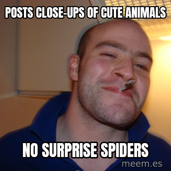 Good Guy Greg meme: Posts close-ups of cute animals / no surprise spiders