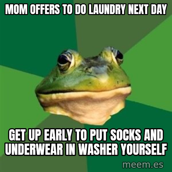 Foul Bachelor Frog meme: mom offers to do laundry next day / get up early to put socks and underwear in washer yourself