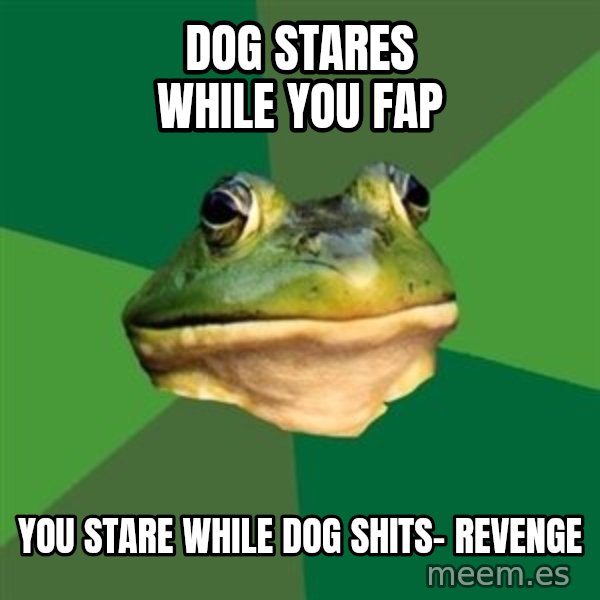 Foul Bachelor Frog meme: Dog stares while you fap / You stare while dog shits- revenge