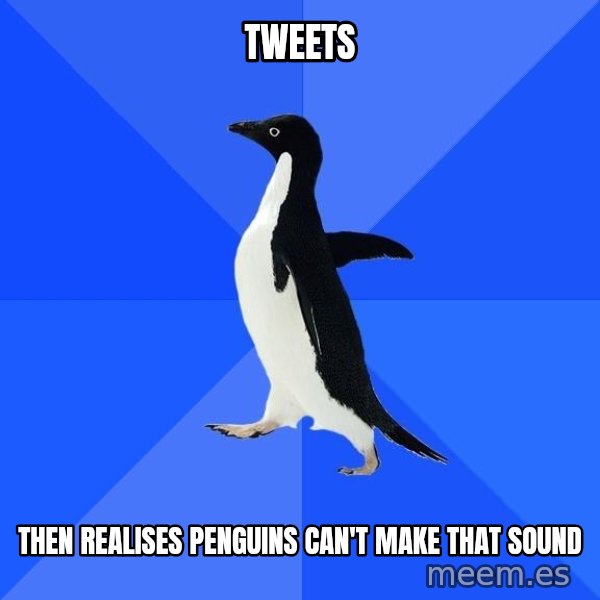 Socially Awkward Penguin meme: tweets / then realises penguins        can't make that sound