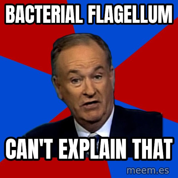 Bill O'Reilly Proves God meme: bacterial flagellum / can't explain that