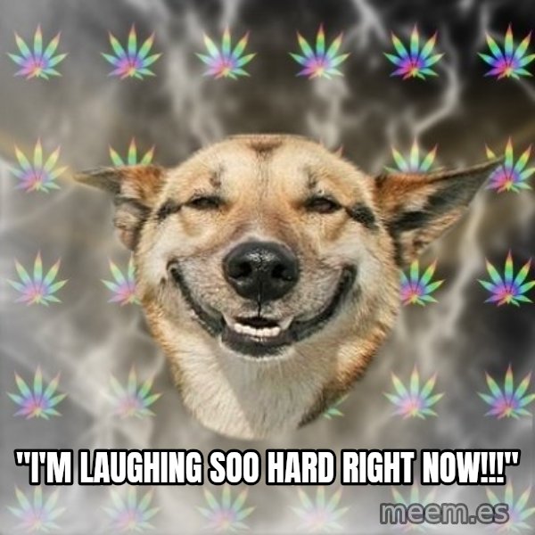 Stoner Dog meme: "I'm laughing soo hard right now!!!"