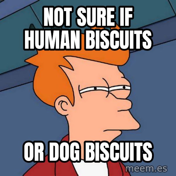 Futurama Fry meme: not sure if human biscuits / or dog biscuits