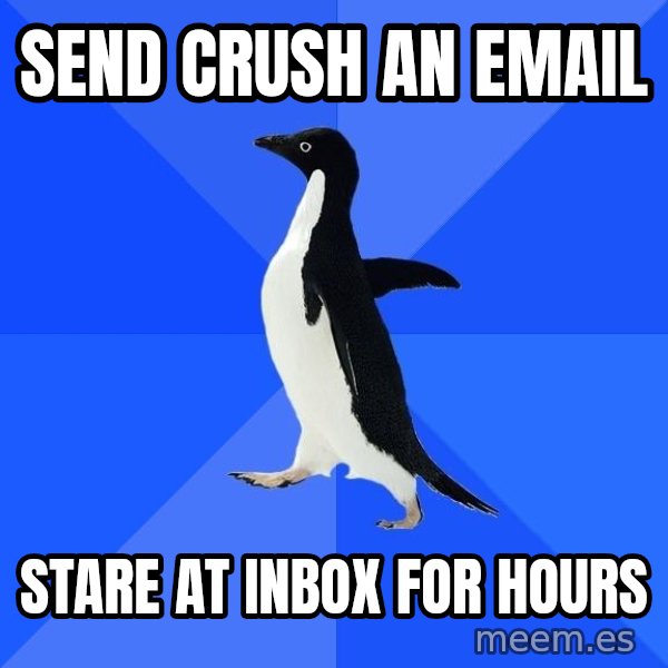 Socially Awkward Penguin meme: send crush an email / stare at inbox for hours