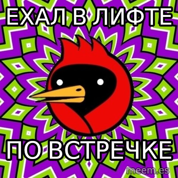 Omsk Crow meme: Ехал в лифте / по встречке