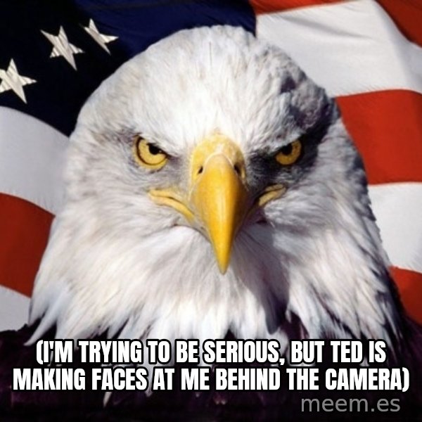 American Pride Eagle meme: (I'M TRYING TO BE SERIOUS, BUT TED IS MAKING FACES AT ME BEHIND THE CAMERA)