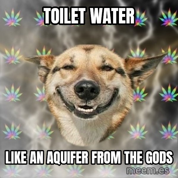 Stoner Dog meme: Toilet water / like an aquifer from the gods