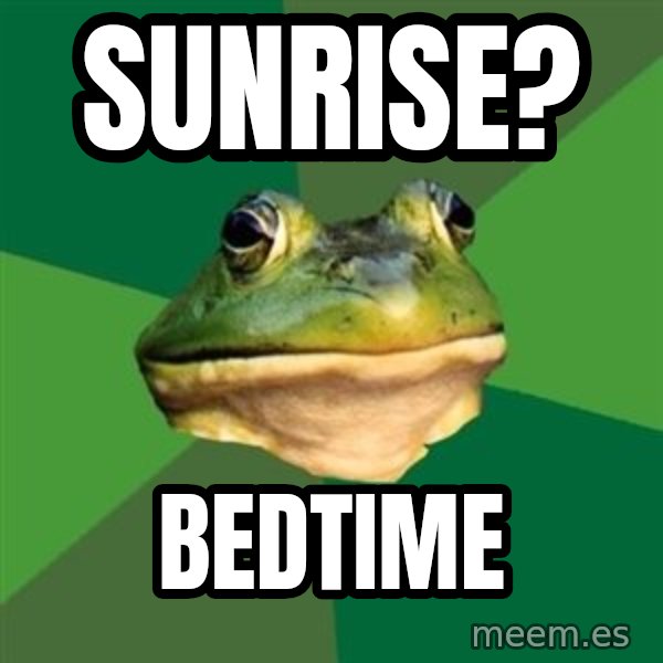 Foul Bachelor Frog meme: Sunrise? / Bedtime