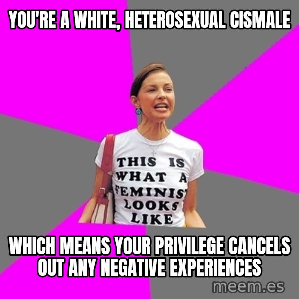 Feminist Cunt meme: you're a white, heterosexual cismale / which means your privilege cancels out any negative experiences