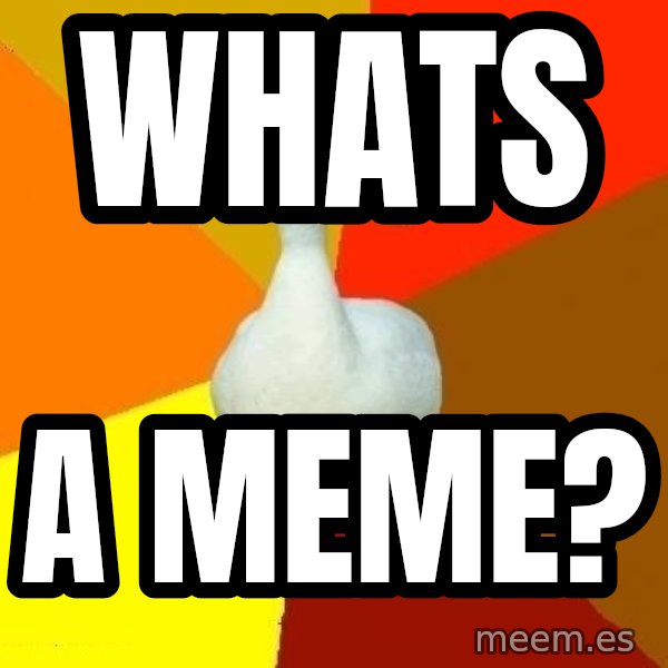 Technologically Impaired Duck meme: WHats / a meme?