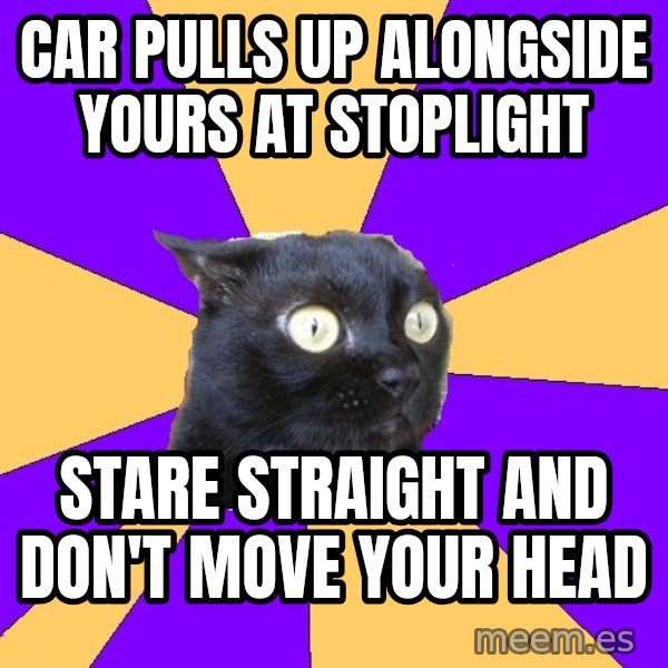 Anxiety Cat meme: Car pulls up alongside yours at stoplight / stare straight and don't move your head