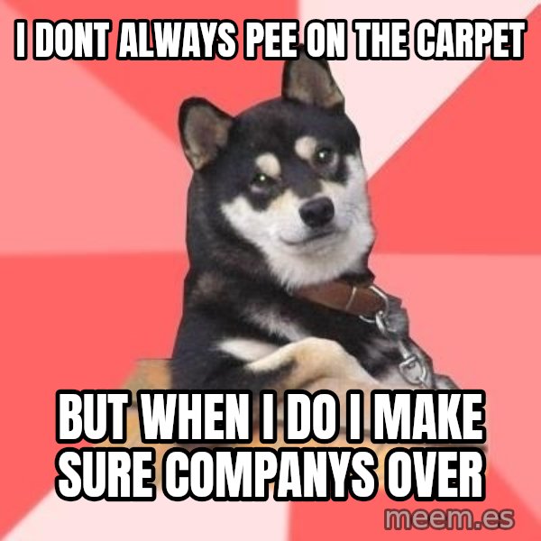 Cool Dog meme: i dont always pee on the carpet / but when i do i make sure companys over