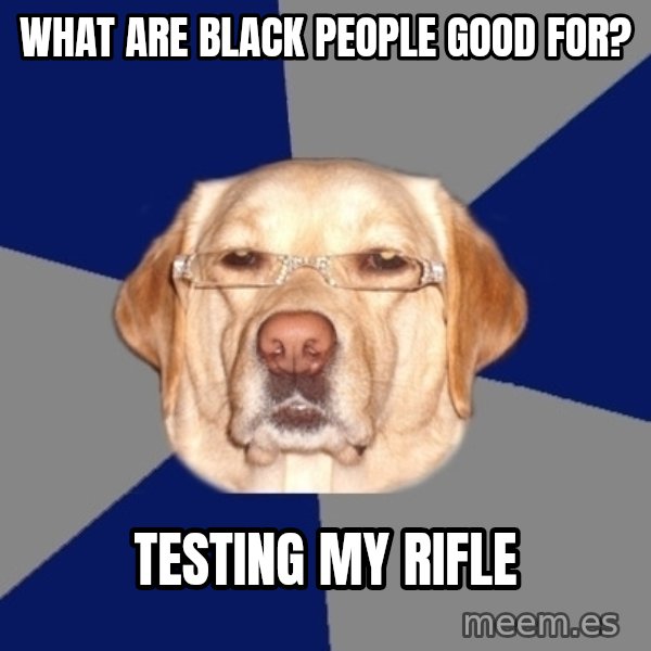Racist Dawg meme: what are black people good for? / testing my rifle