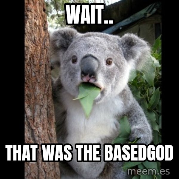 Koala can't believe it meme: wait.. / that was the basedgod
