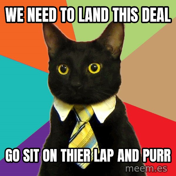 Business Cat meme: We need to land this deal / Go sit on thier lap and purr