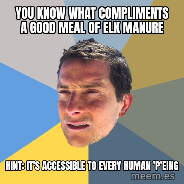 Bear Grylls meme: You know what compliments a good meal of elk manure / Hint: It's ACCESSIBLE to every human 'p'eing