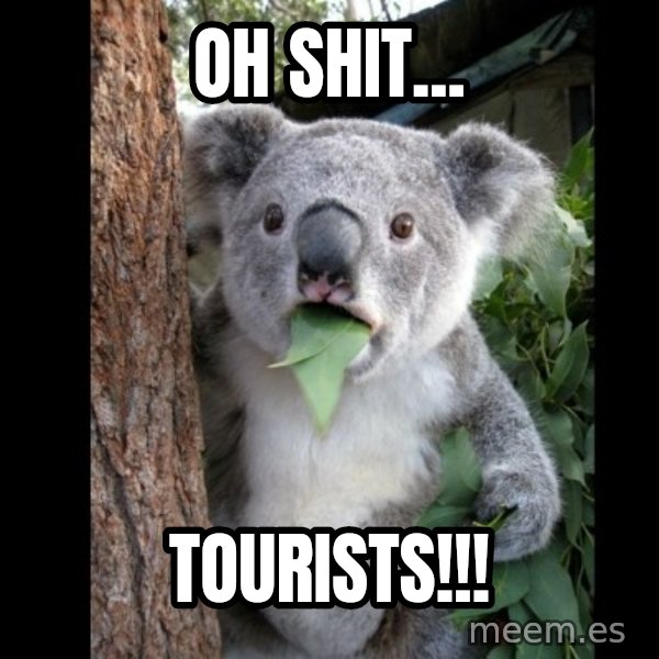 Koala can't believe it meme: Oh shit... / Tourists!!!