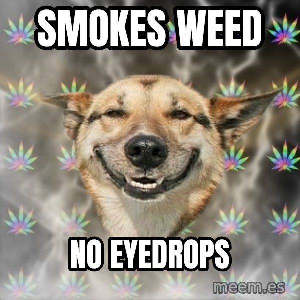 Stoner Dog meme: smokes weed / no eyedrops