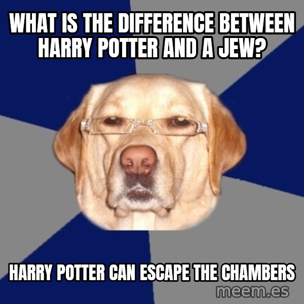 Racist Dawg meme: What is the difference between Harry Potter and a jew? / Harry Potter can escape the chambers