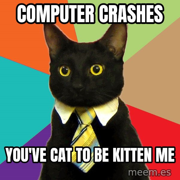 Business Cat meme: Computer Crashes / You've cat to be kitten me