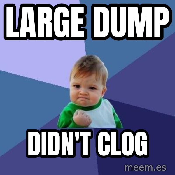 Success Kid meme: Large dump / didn't clog