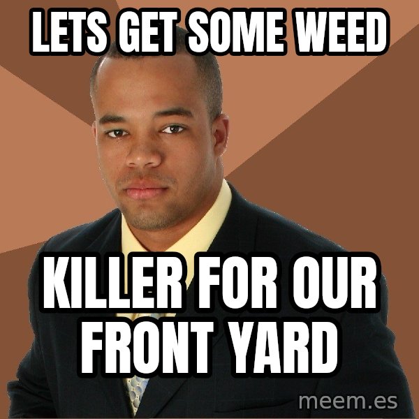 Successful Black Man meme: Lets get some weed / Killer for our front yard