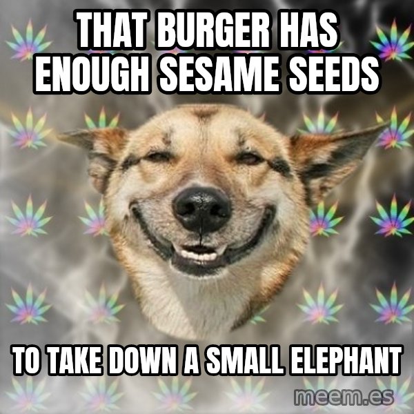 Stoner Dog meme: that burger has enough sesame seeds / to take down a small elephant