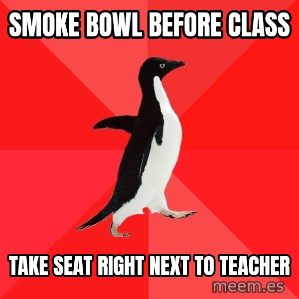 Socially Awesome Penguin meme: Smoke bowl before class / Take seat right next to teacher