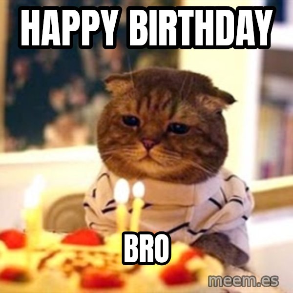 Birthday Cat meme: Happy birthday / bro