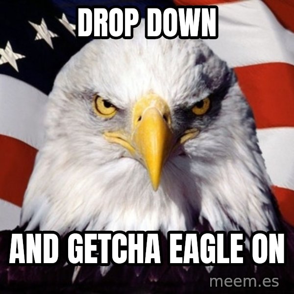 American Pride Eagle meme: drop down / and getcha eagle on