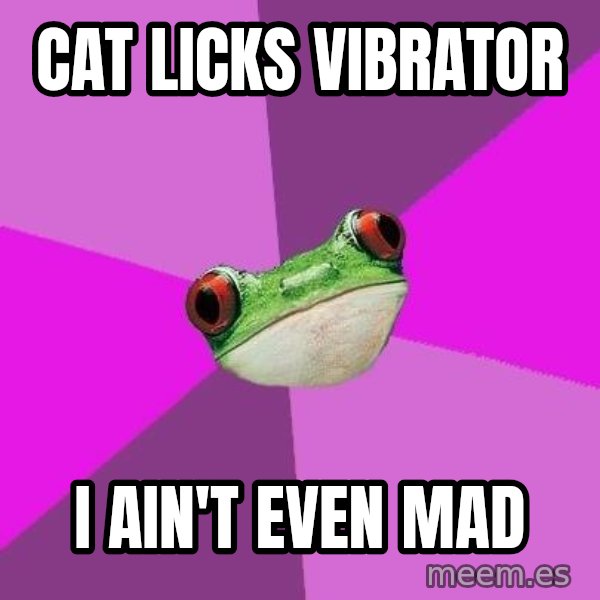 Foul Bachelorette Frog meme: Cat licks vibrator / I ain't even mad