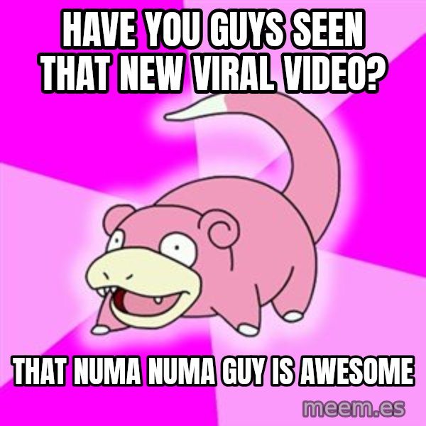 Slowpoke meme: have you guys seen that new viral video? / that numa numa guy is awesome