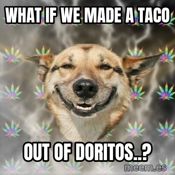 Stoner Dog meme: what if we made a taco / out of doritos..?