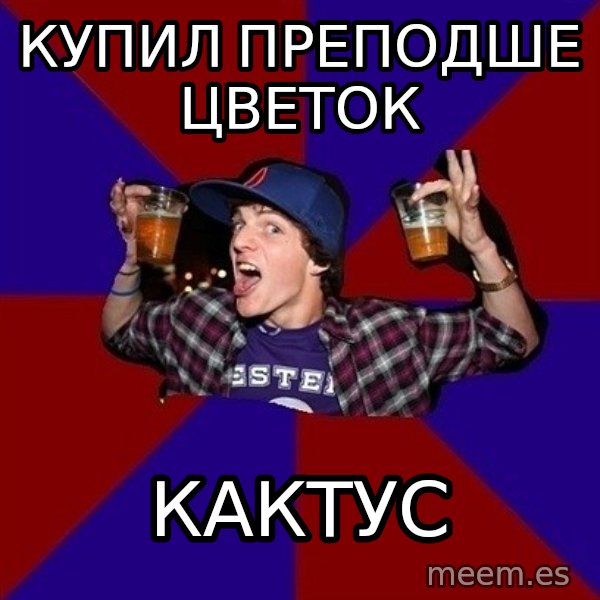 Sunny Student meme: купил преподше      цветок / кактус