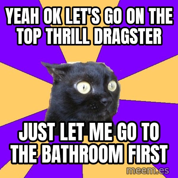 Anxiety Cat meme: yeah ok let's go on the top thrill dragster / just let me go to the bathroom first