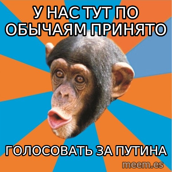 Stupid Monkey meme: у нас тут по обычаям принято / голосовать за путина