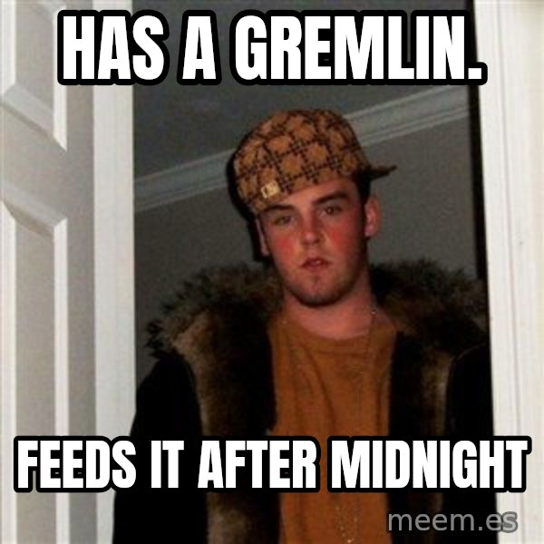 Scumbag Steve meme: has a gremlin. / feeds it after midnight