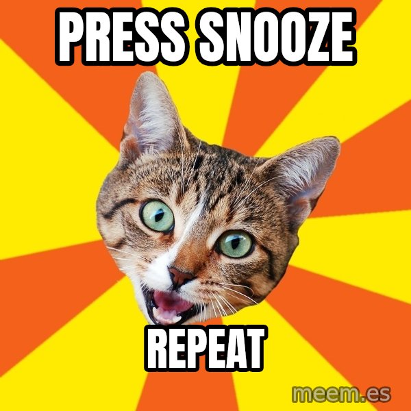 Bad Advice Cat meme: press snooze / repeat