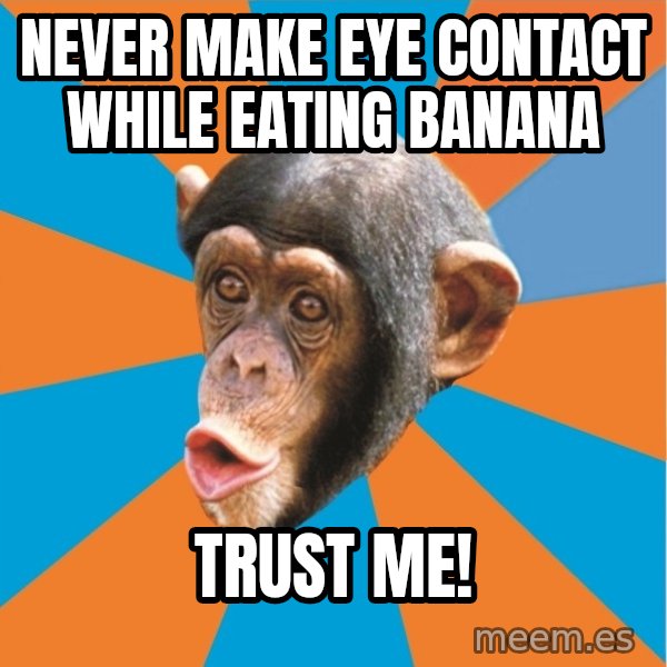 Stupid Monkey meme: never make eye contact while eating banana / trust me!